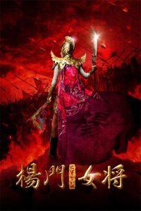 杨门女将之军令如山 (2011)