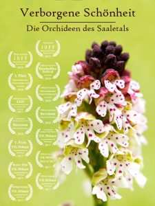 Verborgene Schönheit: Die Orchideen des Saaletals (2017)