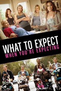 What to Expect When You’re Expecting (2012)