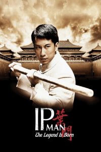 Ip Man The Legend Is Born (2010)