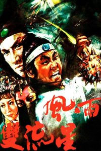 風雨雙流星 (1976)